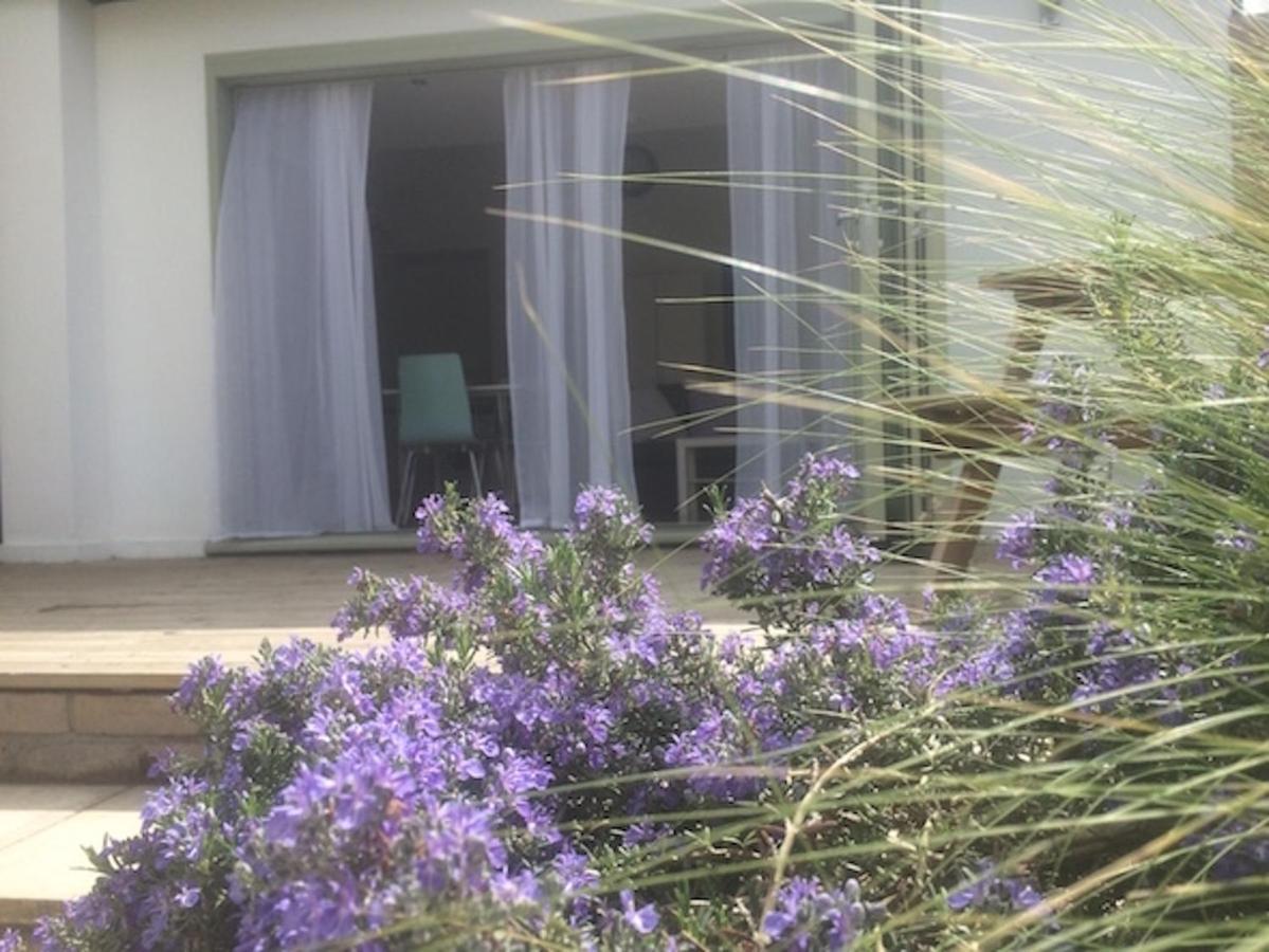 Apartment Levada House *